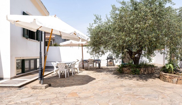 Apartment 'Casa Degli Ulivi 2' with Private Terrace
