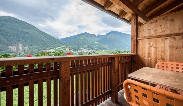 Apartment "Kreuzhof links" with Mountain View, Wi-Fi, Balcony & Garden