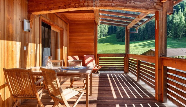 Apartment 'Naturidyll Mitterbach Apt Natura' with Mountain View, Private Terrace and Wi-Fi