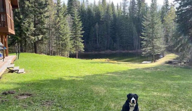 Avery Creek Chalet