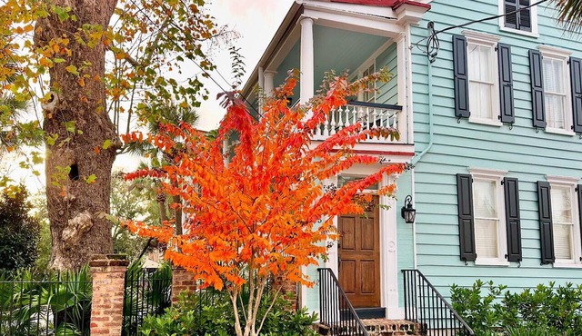 AWESOME PROPERTY, GREAT DOWNTOWN CHARLESTON LOCATION! Sleeps 10