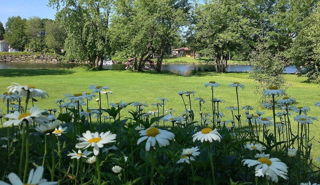 B&B Le Reflet de la Rivière
