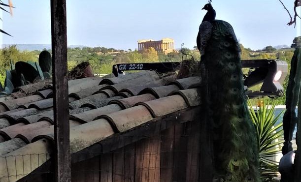 B&B Villa San Marco