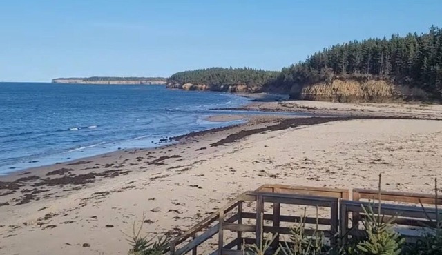 Beach access with Ocean View; Cabot Trail 25 km away.