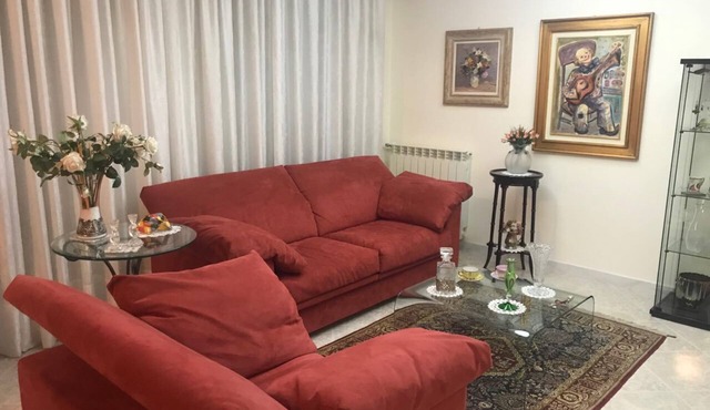 BEAUTIFUL apt in the CENTER with PARKING and WIFI