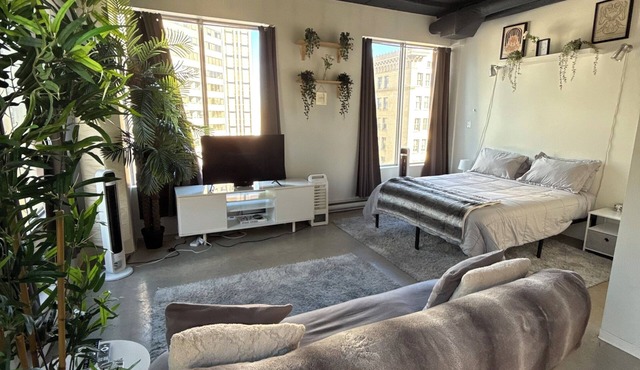 Beautiful Modern Minimalist Loft, located in the heart of downtown Edmonton