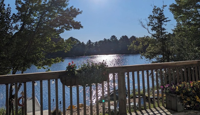 Beautiful Muskoka cottage with sandy beach, campfire and hotub!
