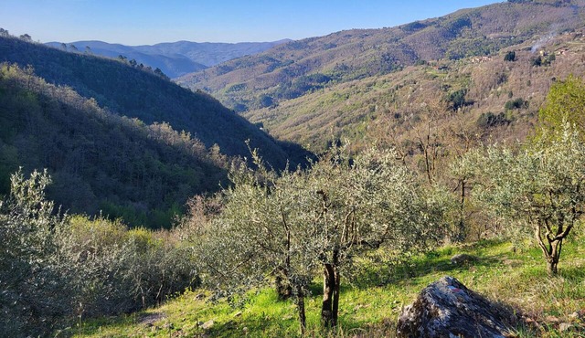 Belvedere, a peaceful Tuscan apartment with a pool and panoramic views