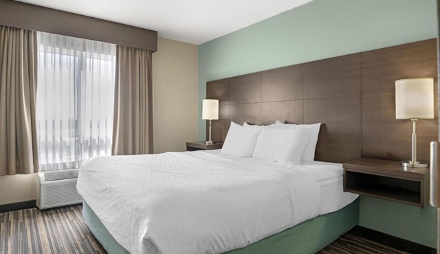 Best Western Plus Dartmouth Hotel & Suites
