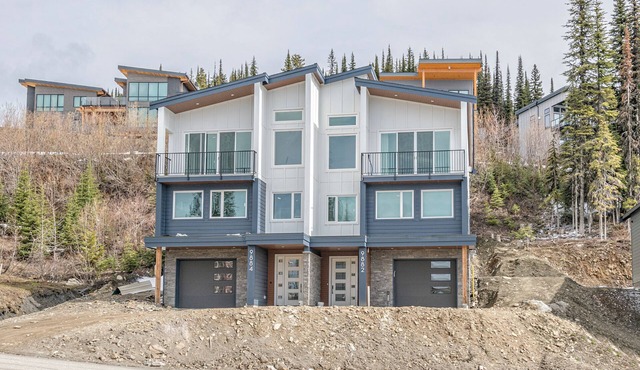 Brand new, full duplex sleeps 22 - hot tub, laundry, sauna, BBQ w/views