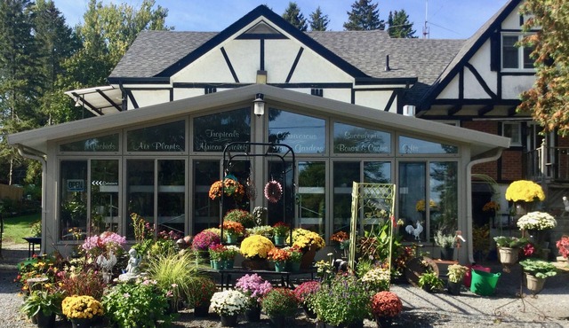 Burleys Gardens and Suite