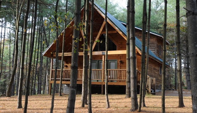 Cabins at Pine Haven