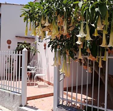 Casa Vacanze Rubino