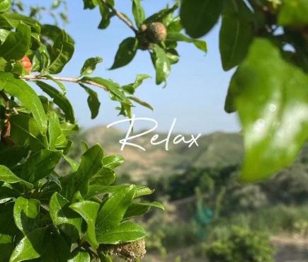 Casa vacanze Sicilia