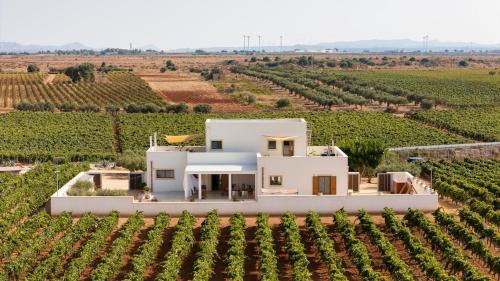 Casale Gorghi Tondi House & Vineyard with Jacuzzi