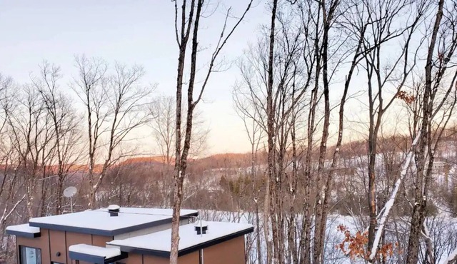 Chalet le Bison