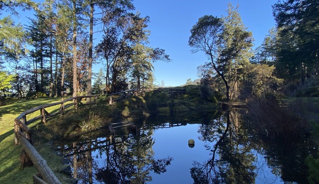 Charlies Cabin near the sea, located on 10 acres of forested land.