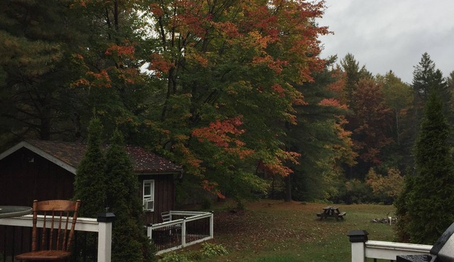 Charming 2-bedroom cottage in Bancroft with AC, WiFi. Enjoy your stay