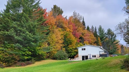 Comfy creekside chalet HiSpeedNet w Workspace