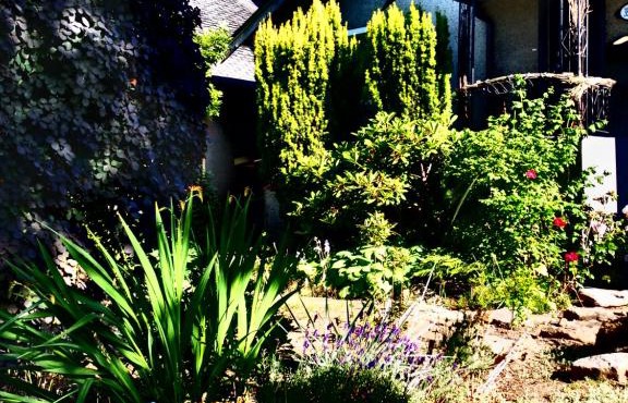 Compact private room, private bathroom, laundry & free parking in a lovely Vancouver neighborhood