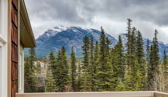 Cozy 2 BR Condo + Gym w/Stunning Mountain View