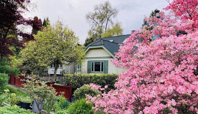 Cozy 3 bedroom suite in heart Kitsilano, close to kits beach & downtown