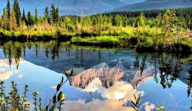 Cozy and Private Suite just 20 minutes from Banff!