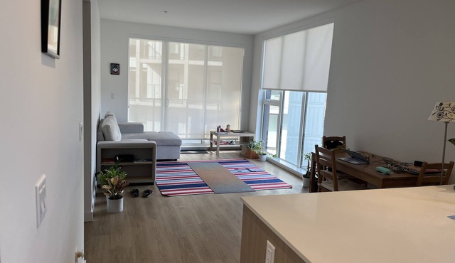 Cozy BRAND NEW 1 BR Apartment for SHORT-TERM RENTAL on Burnaby Mountain