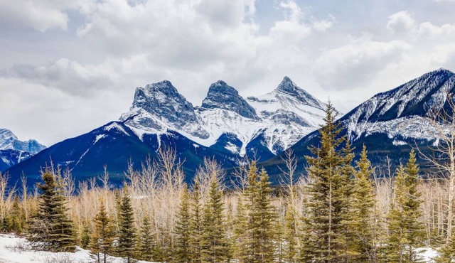 Cozy getaway for exploring Canmore & Banff!