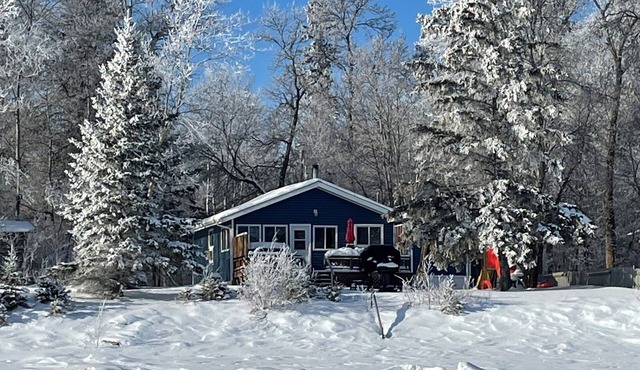 Cozy Lakefront Cottage Summer Fun/Winter Adventures!