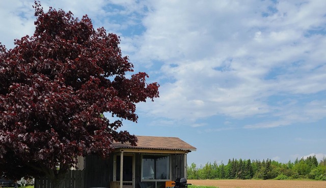 Cozy oceanview cottage Overlooking the Northumberland Strait