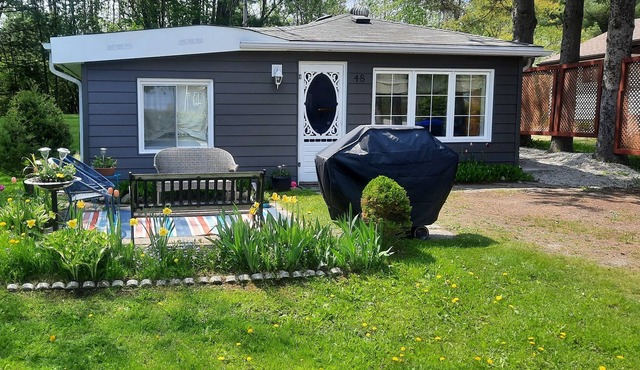 Cozy, quiet cottage Relaxing getaway!