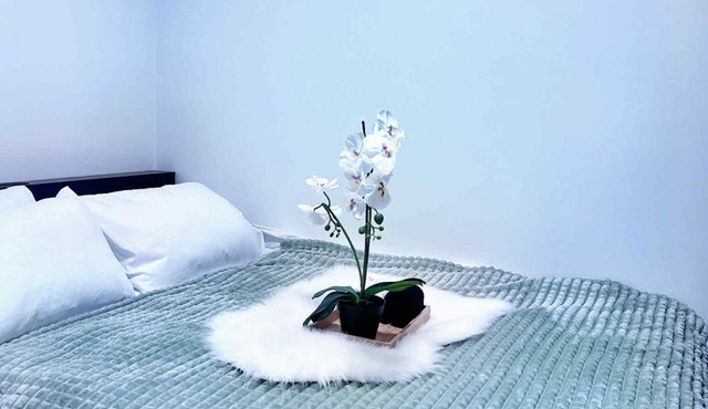Cozy Room 2 | Private Entry | Near Airport UofC SAIT | Free Parking
