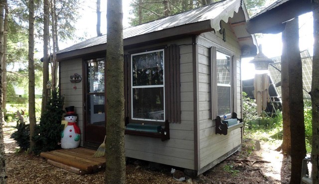 Cute Cozy Tiny House Surrounded by Trees for a Unique Couples Escape in Mt Forest, Ontario in Mt Forest
