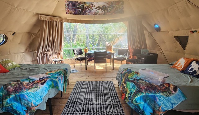 #D2 Dino Dome-2 Dbl Beds- Pet friendly