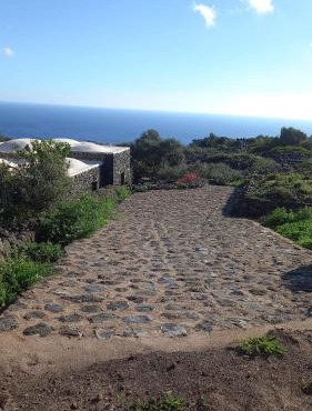Dammusielenas