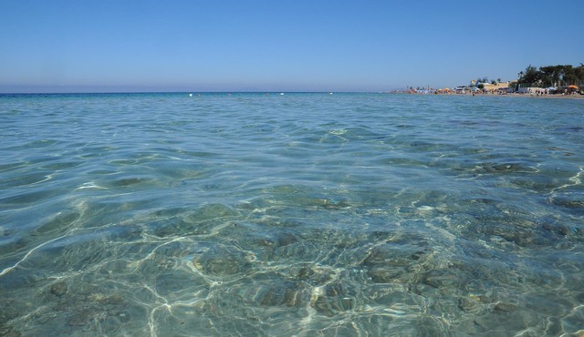 Delfino Beach Hotel