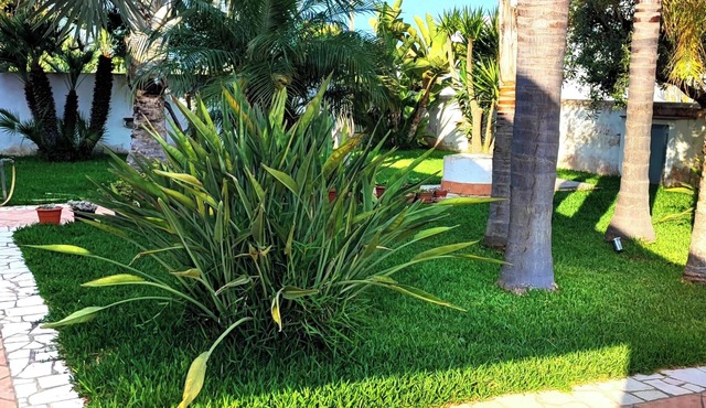 Detached Villa 150m from the Sea - Sea View Terrace & Outdoor Kitchen