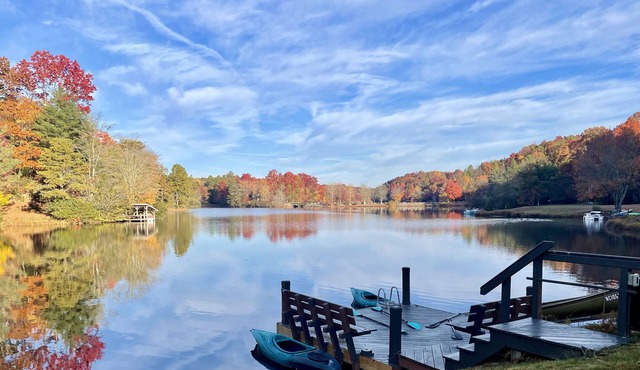 Direct Lakefront Connestee Falls: Views + private dock + 4 kayaks + Not steep!