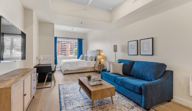 DownTown King Loft