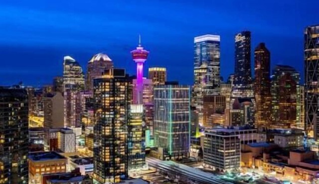Downtown Luxury condo near Stampede/BMO center/LRT/free parking/gym