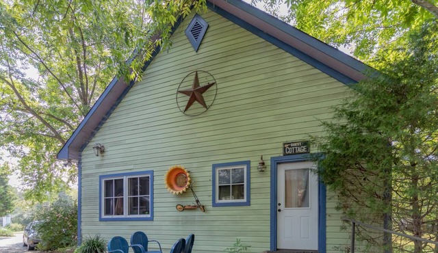Eclectic & Spacious Guest Cottage (walk to downtown/pet friendly)