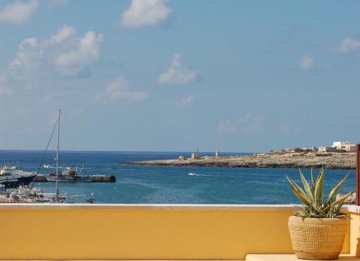 El Mosaico Del Sol