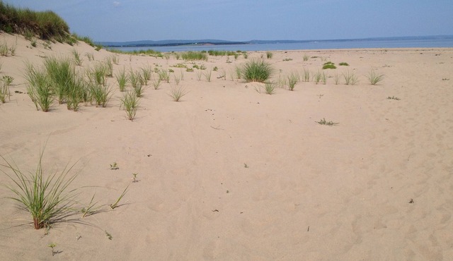 Enjoy Gorgeous Sunsets On This Rare Sandy Beach.