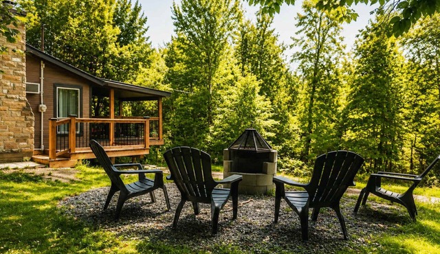 Escape in the heart of Miller Zoo | Sheira Shack