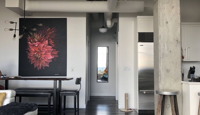 Every room has a Mountain View/13 ft ceilings/high end appliances