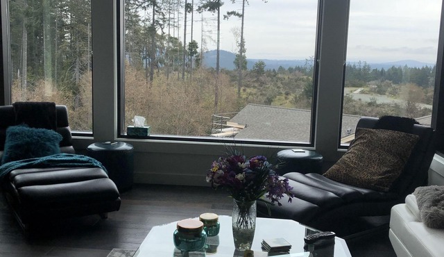 Every room has a Mountain View/13 ft ceilings/high end appliances