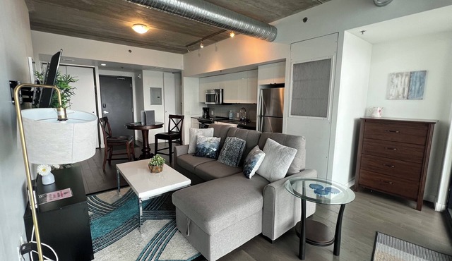 Executive Luxury 2 bed Spacious Downtown WIFI laundry