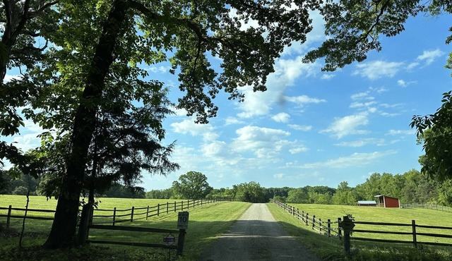 EXPERIENCES, connection, nature & luxury await you on 50 acres!