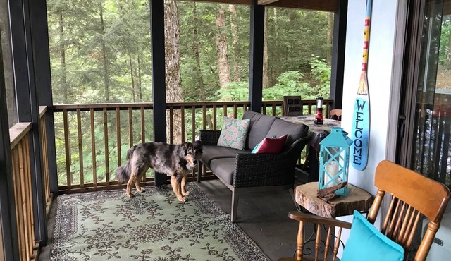 Explore a Unique Off-Grid Waterfront Yurt Getaway on 11 Private Acres!